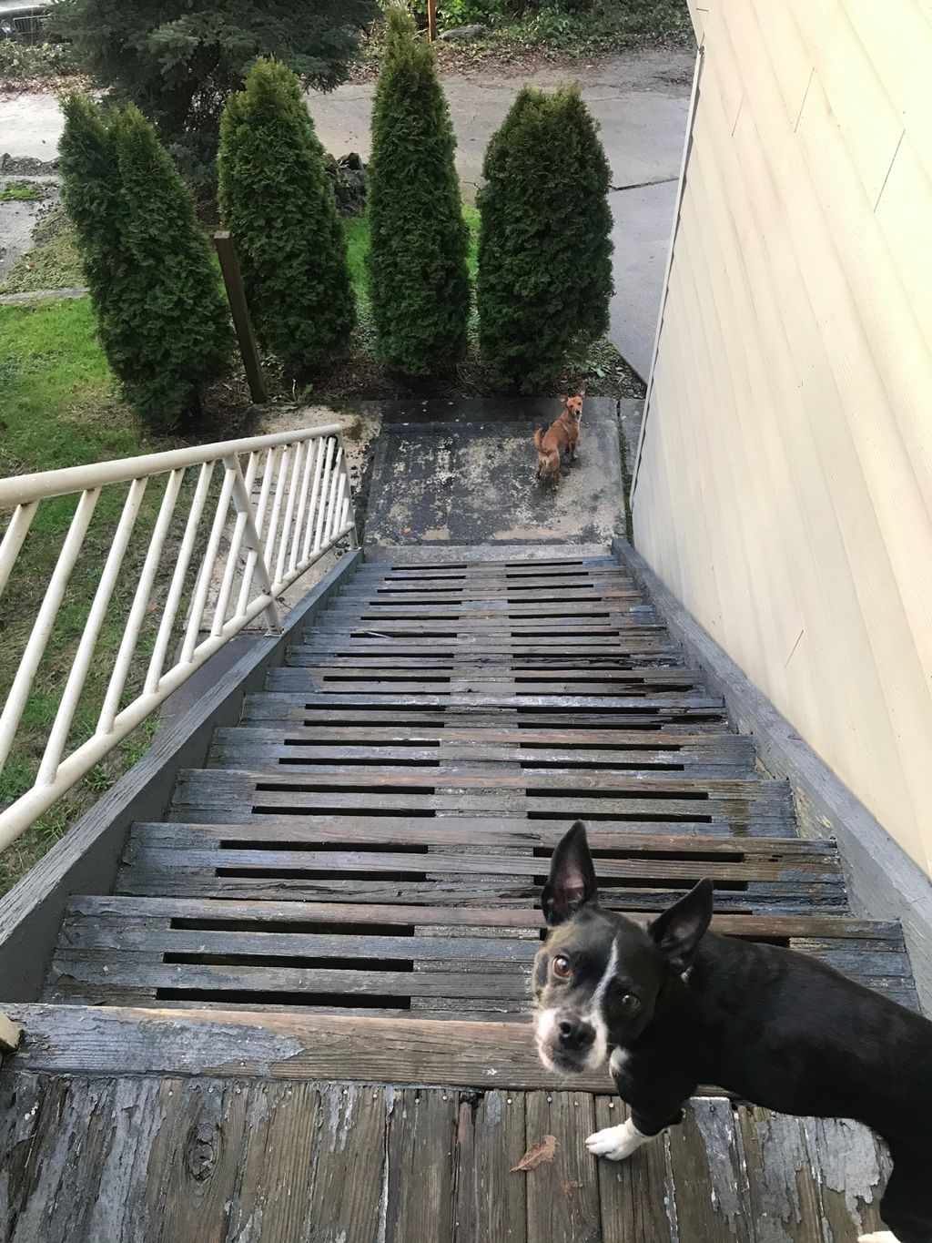 These guys saved Christmas! Our refrigerator went 