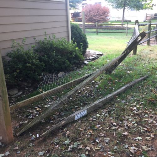 Fence and Gate Repairs