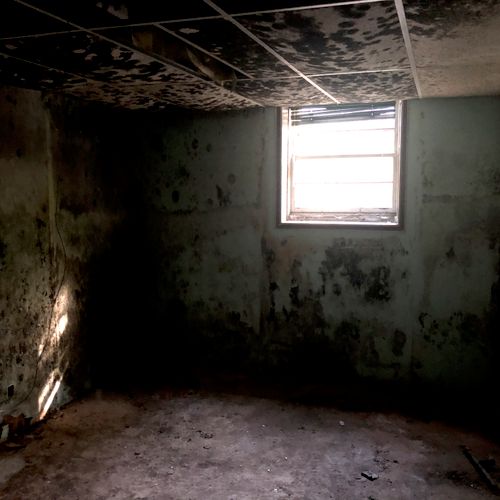 Junkdone Com Tyrone Ga