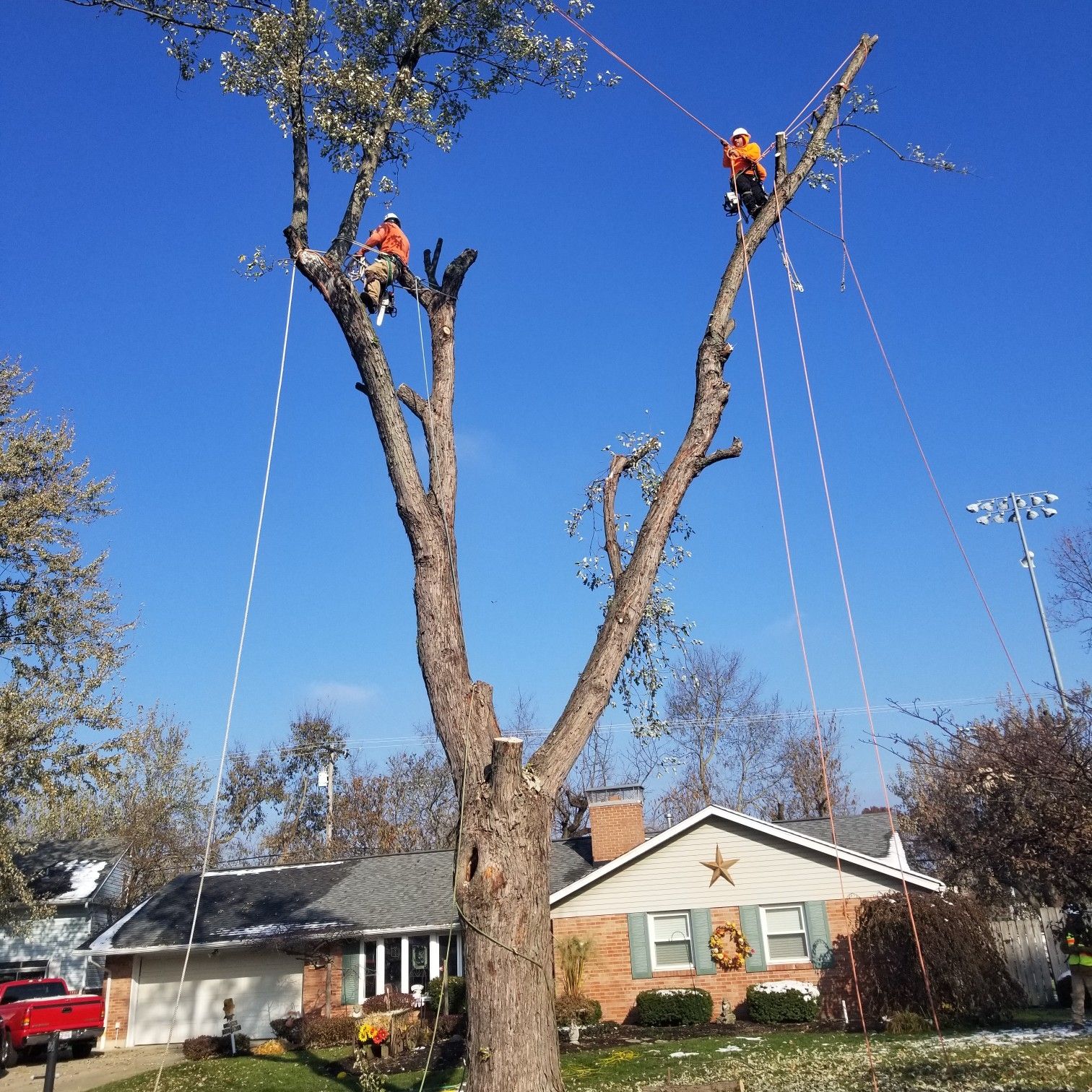 D And B Tree Services Llc Dayton, OH Thumbtack