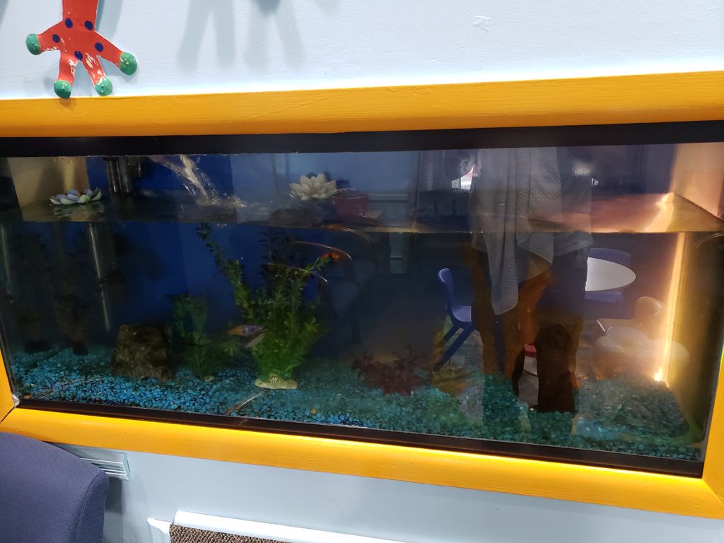 Aquarium Services