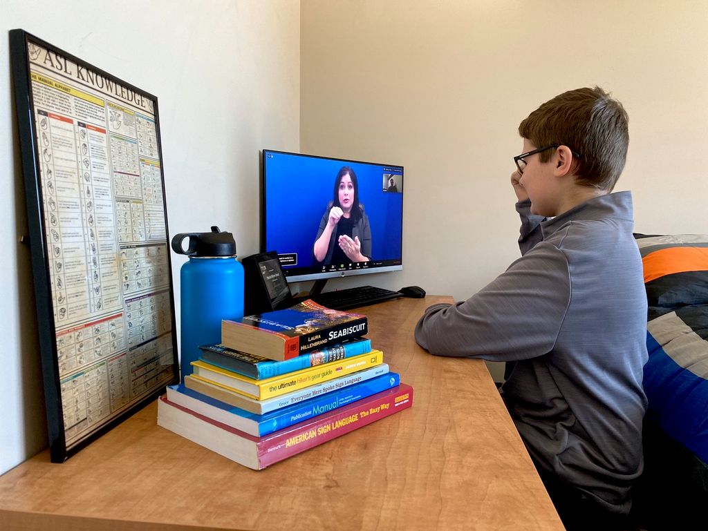 Student view of lesson