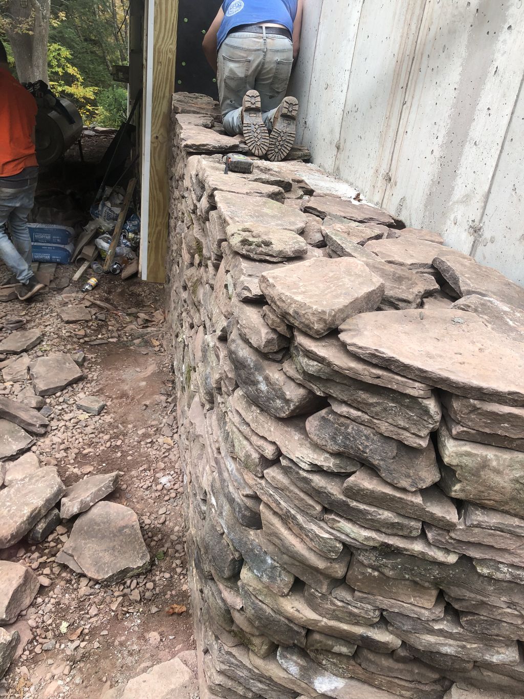 Projects and media