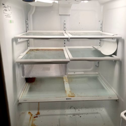 Refrigerator before cleaning 
