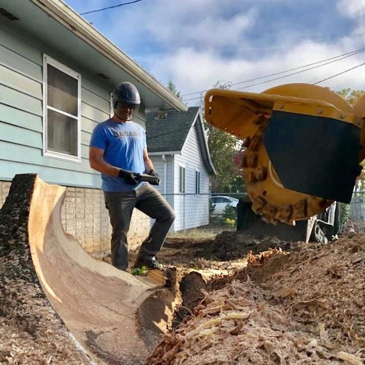 Stump Removal Northwest Inc