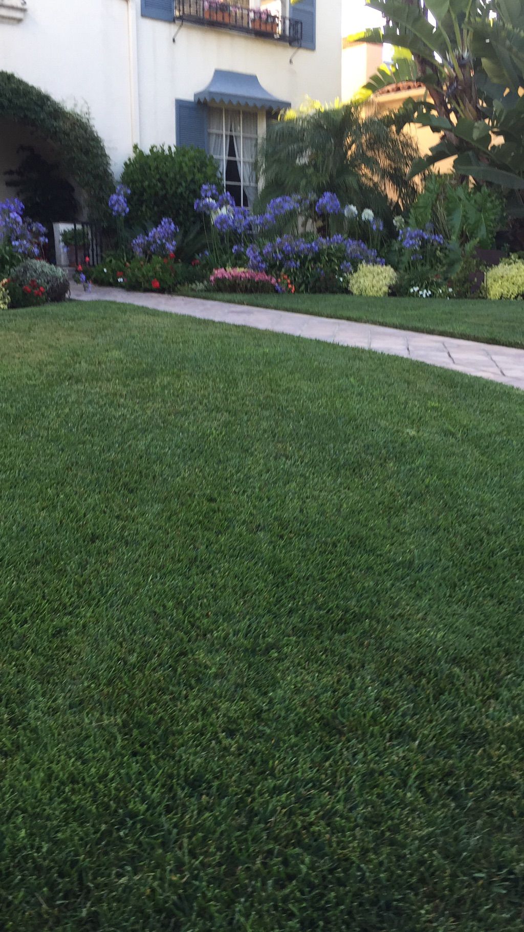 Delgado gardening service LLC