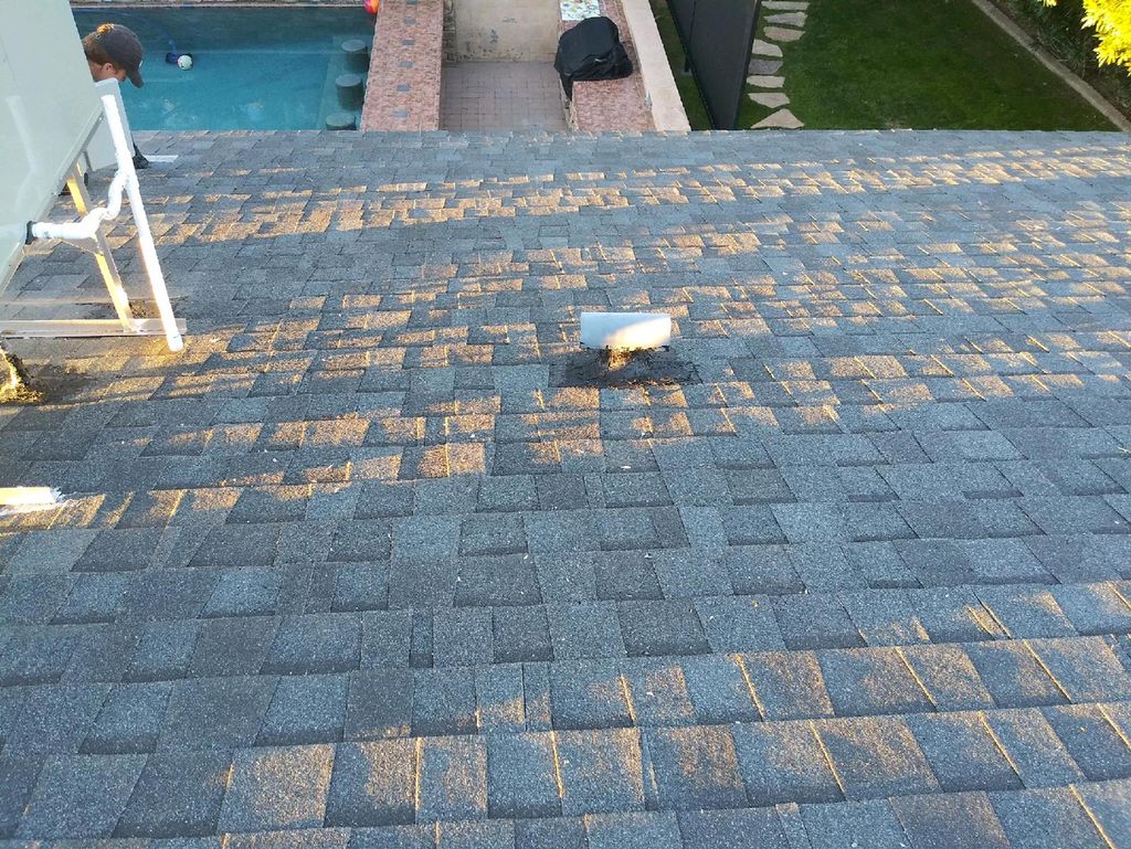 Customer photos