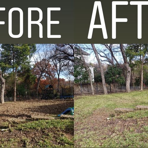 fall leaf clean up for one of our richardson area 