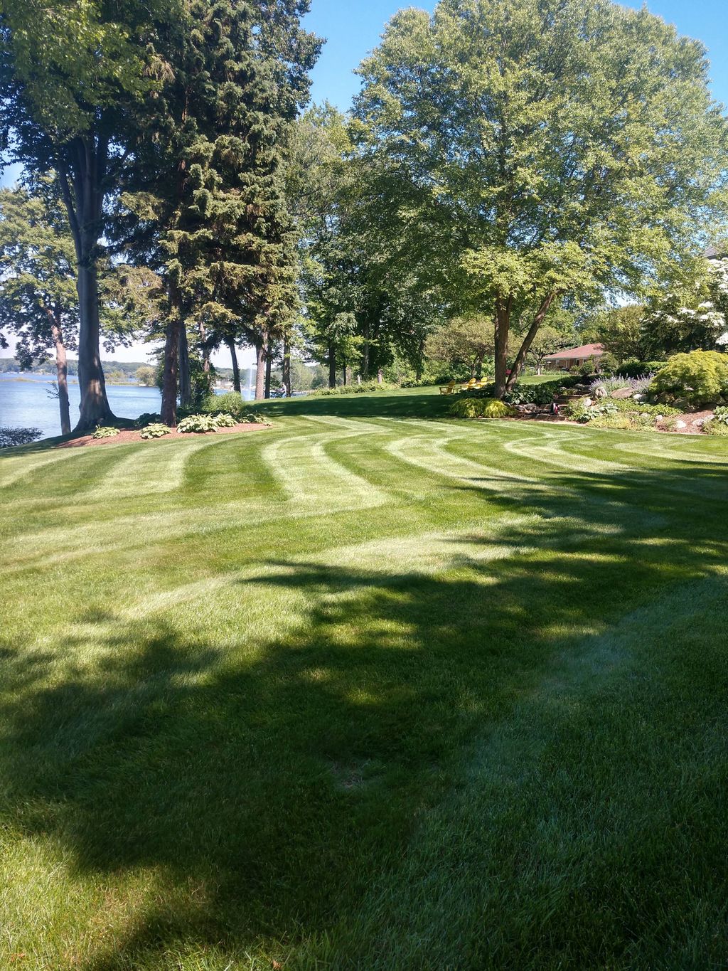 specialty design for 4th of July