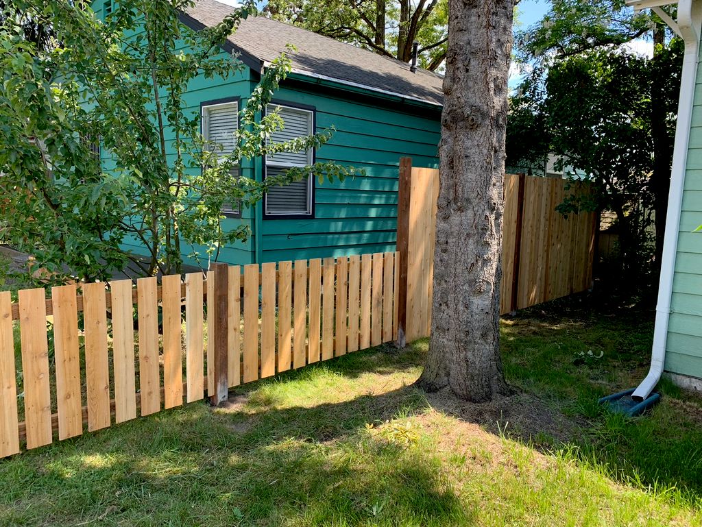 Half privacy, half decoration 1 of 2 (6ft and 3ft)