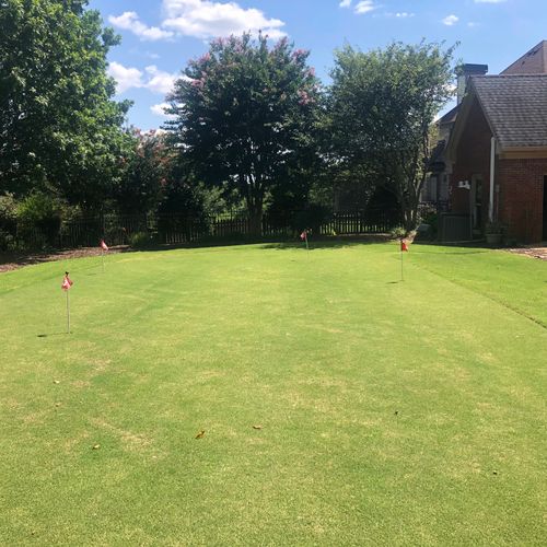 Special projects - Real grass putting green