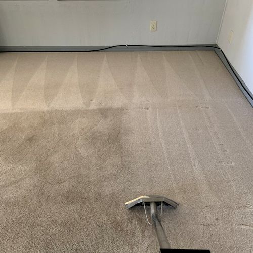 Move out carpet cleaning.