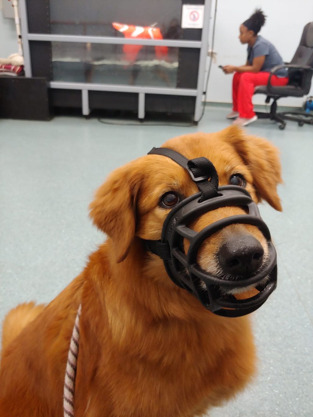 Honeybun working on Making friends Safely 
