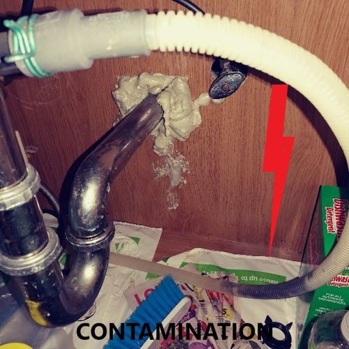 Dishwasher Contamination