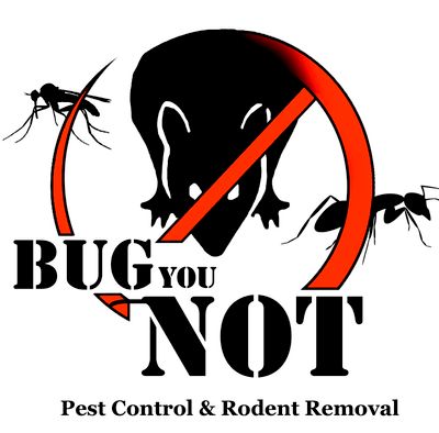 Avatar for Bug You Not