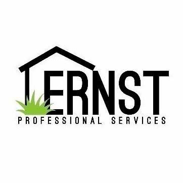 Ernst Professional Services