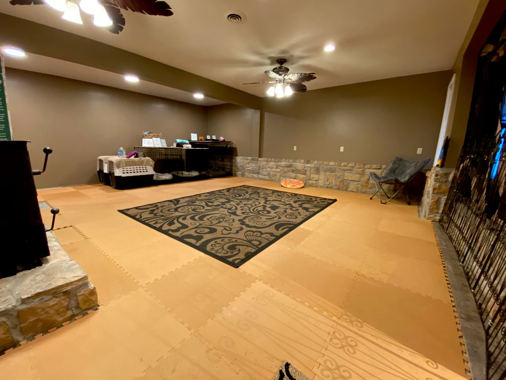 Newly renovated dog boarding room 