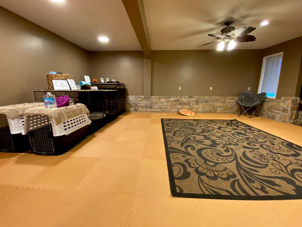Newly renovated dog boarding room 