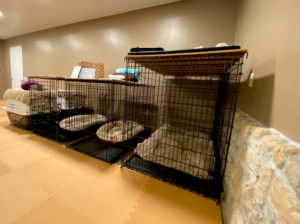 Newly renovated dog boarding room 