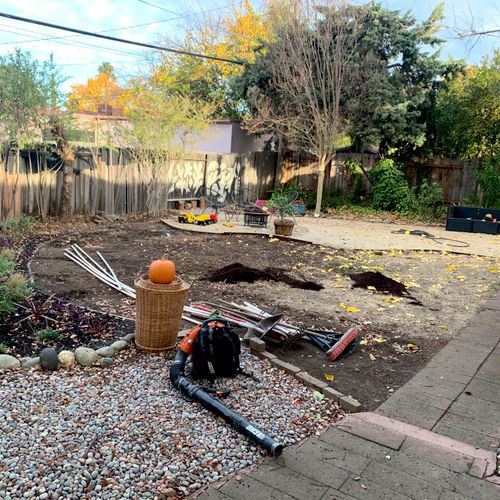 Sod Installation