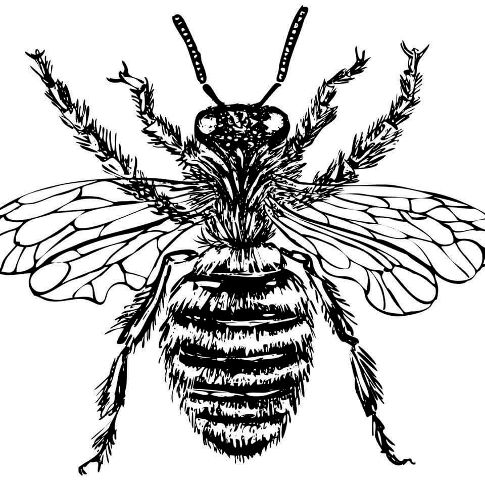 The Bee Man, LLC