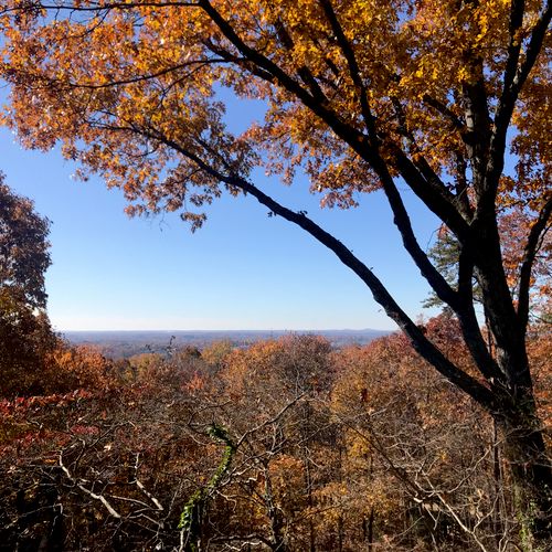 Working on a view on Paris Mountain