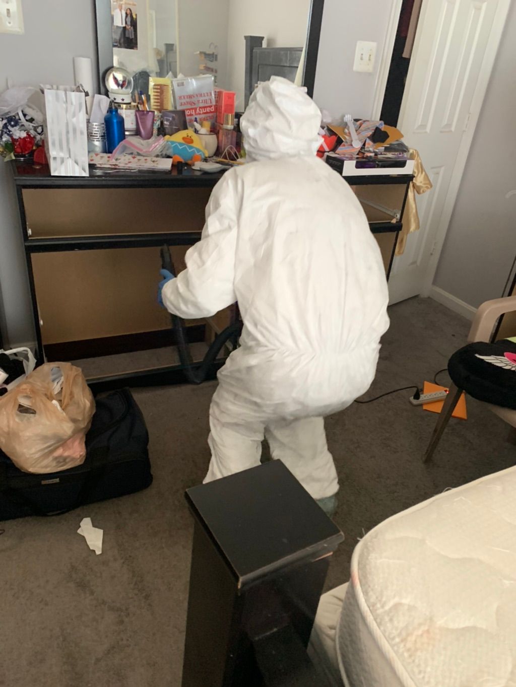 Bed Bug job 