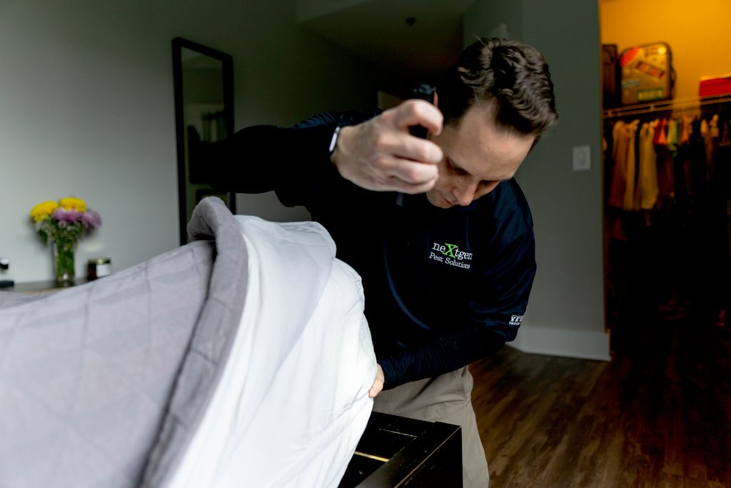 Bed Bug Inspection & Treatment