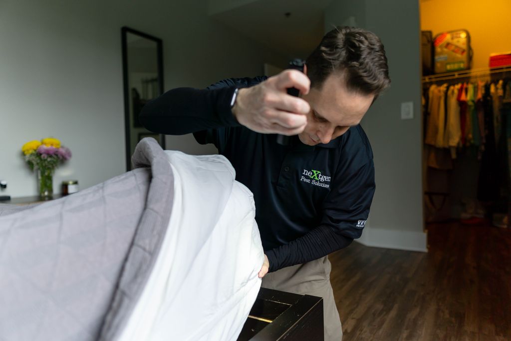 Bed Bug Inspection & Treatment