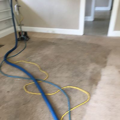 The 10 Best Upholstery Cleaning Services In Birmingham Al 2020