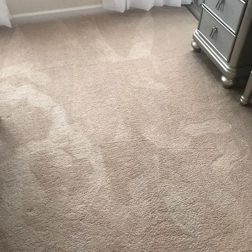 My carpet was cleaned very well. Will hire again.