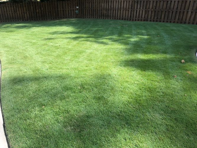 Flores lawn care llc