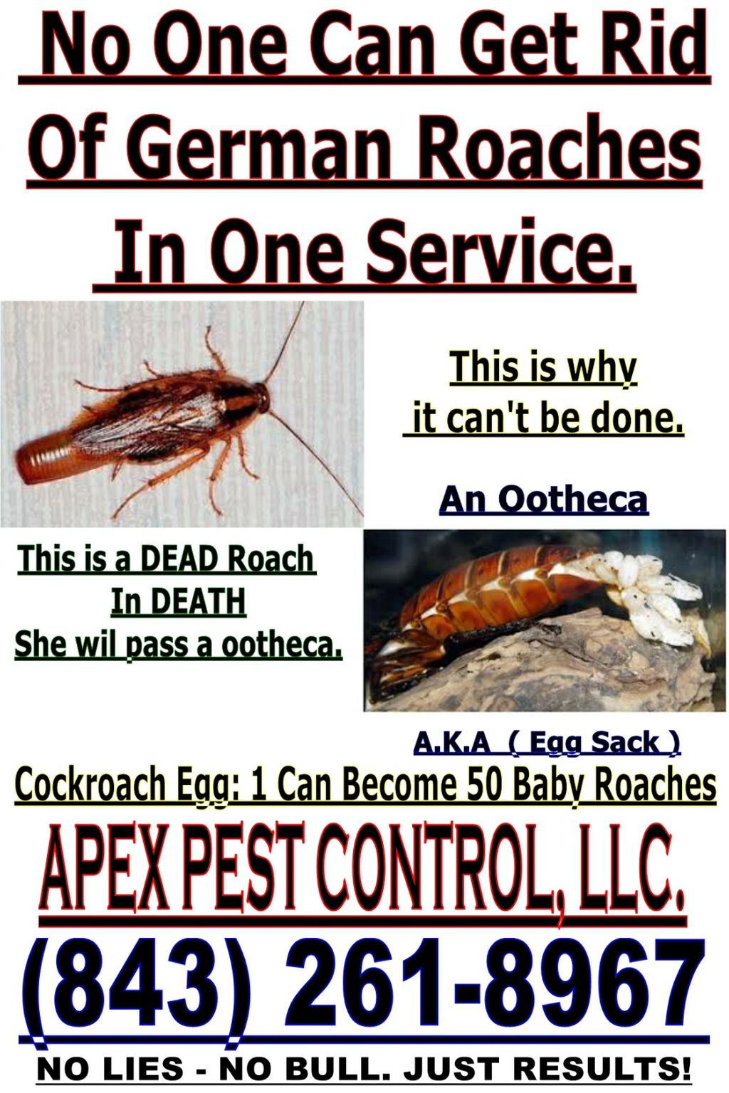 no one can get rid of German Roaches in one trip 