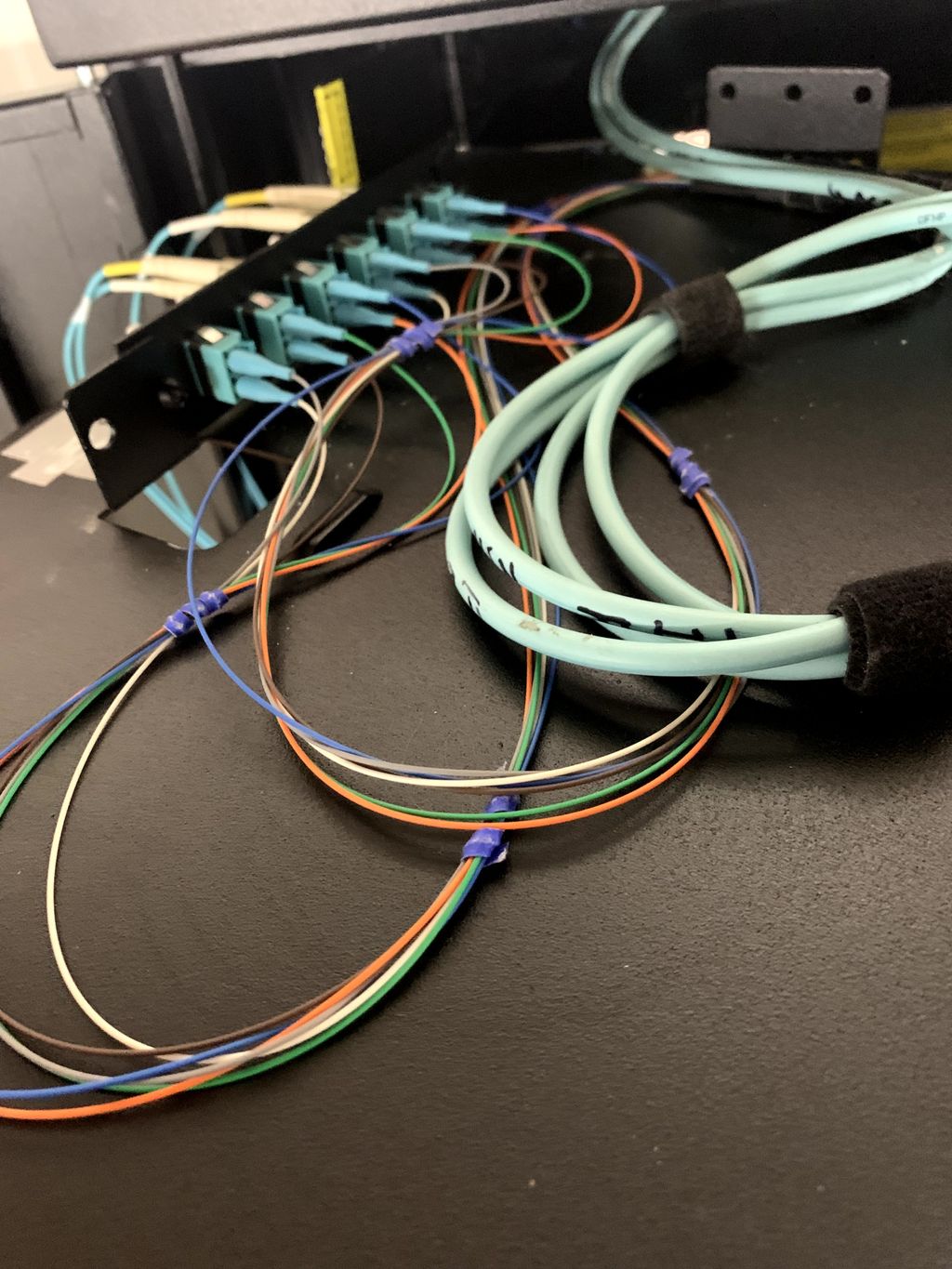 Projects and media
