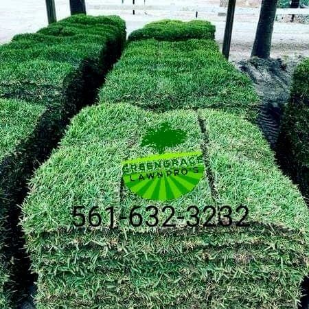 GreenGrace Lawn Pro's