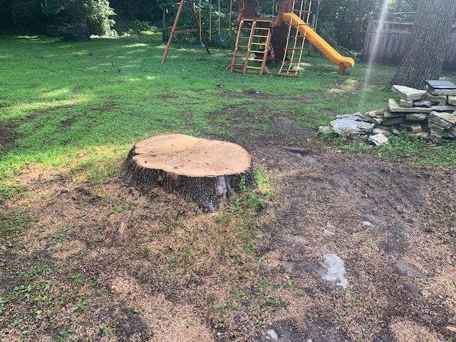 Tree Stump Grinding and Removal