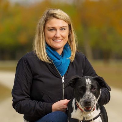 top dog trainers near me