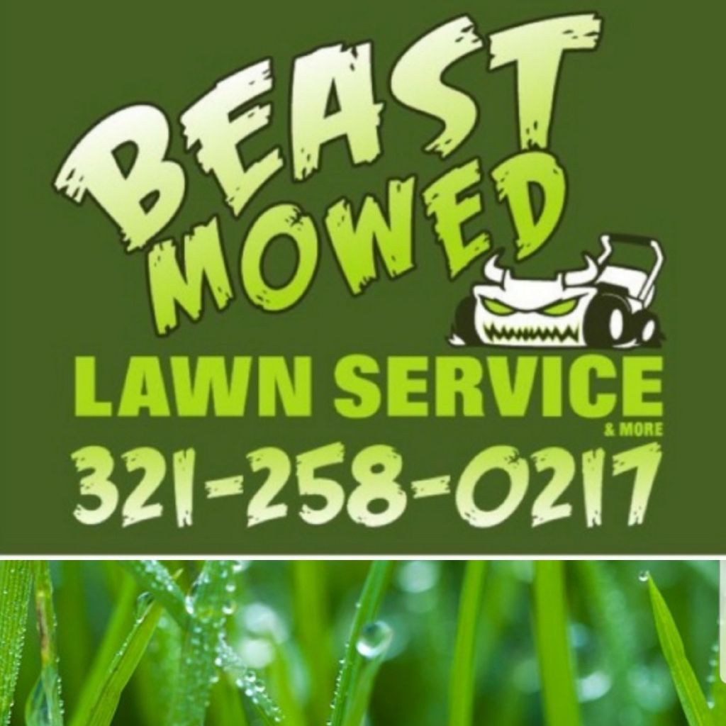 Beast mowed lawn service