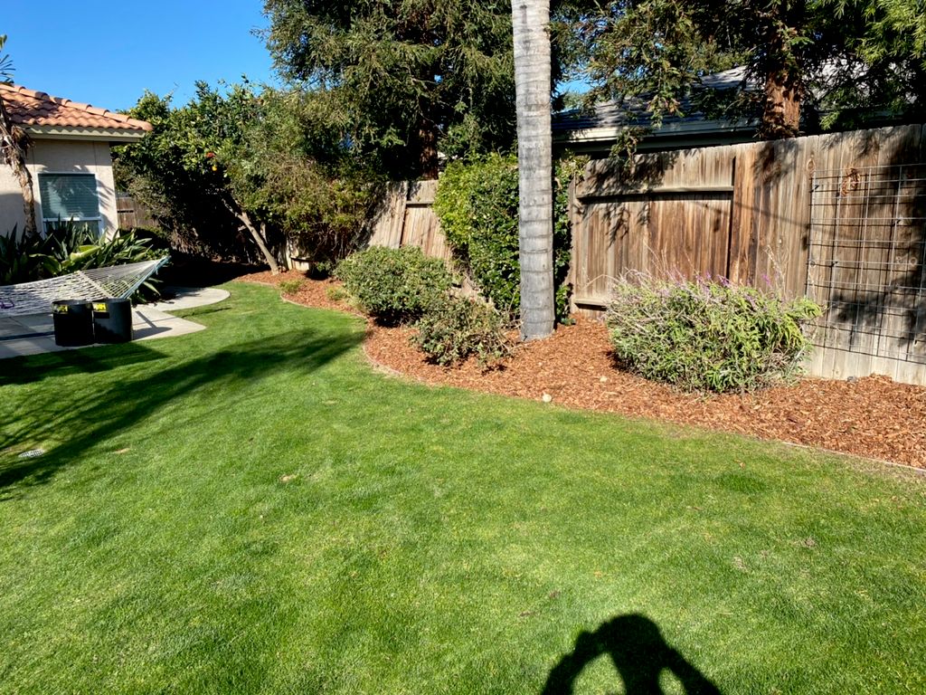 Flowerbed done with mulch