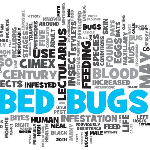 We are your Bed Bug Specialists.