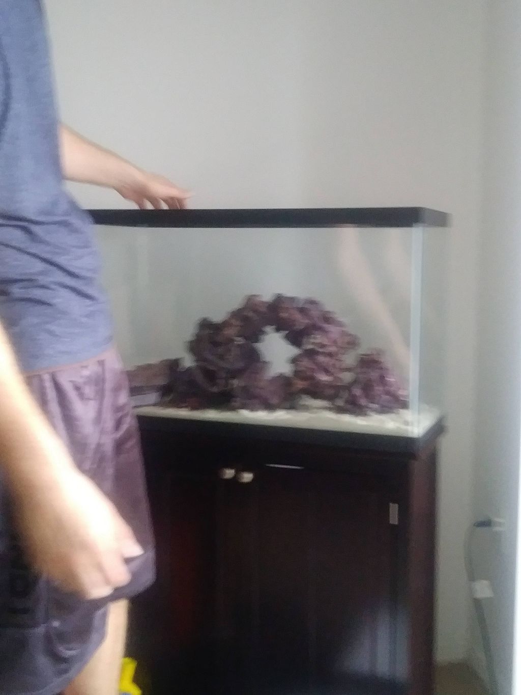 Customer photos