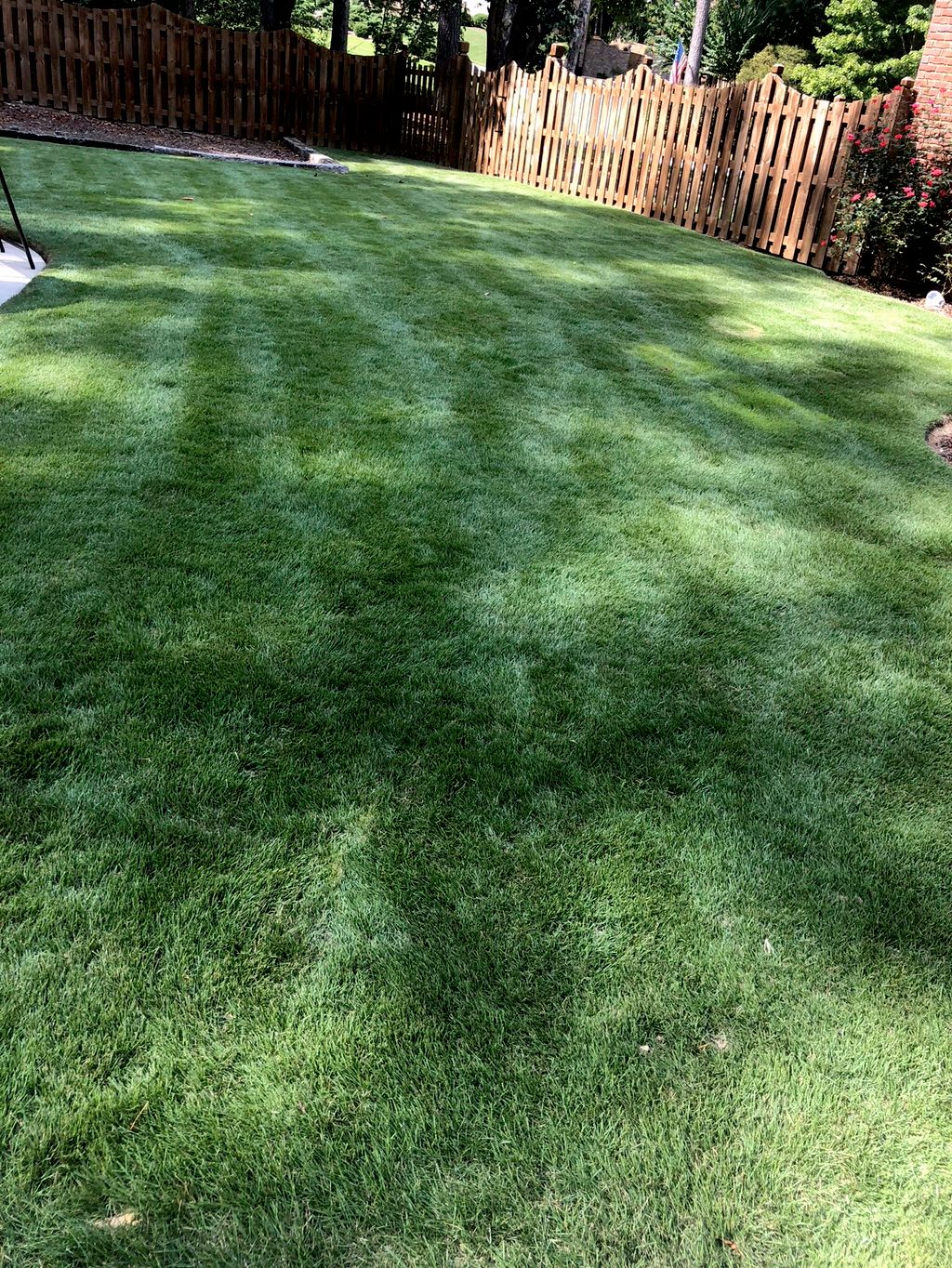 Lawn maintenance and chemicals applications