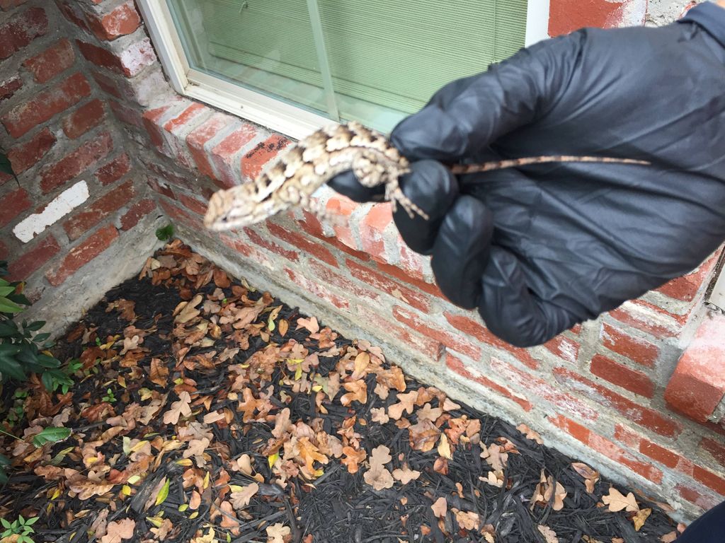 Helping keep bugs out of the house. Moved it to no