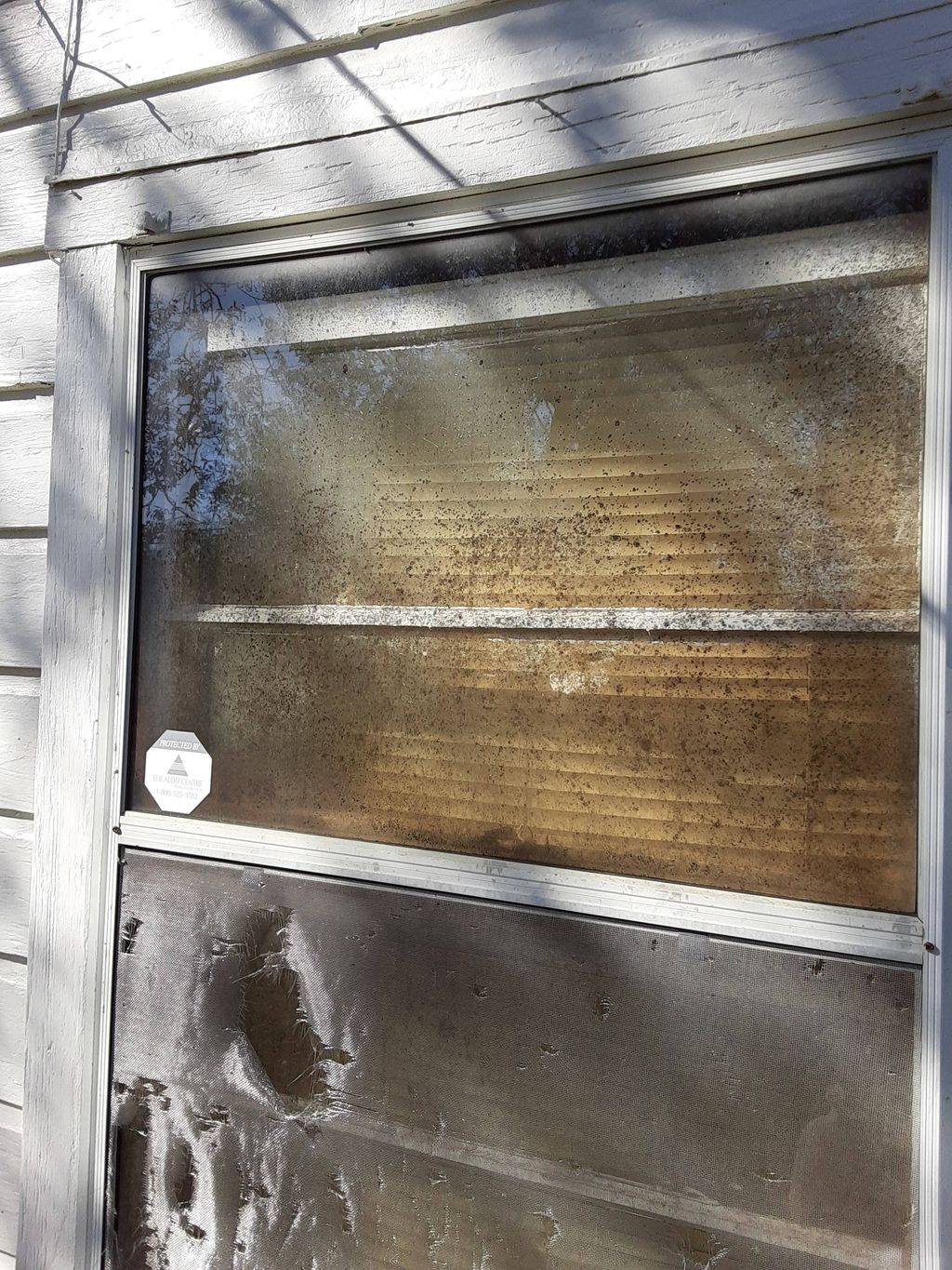 rodent damage and insect droppings