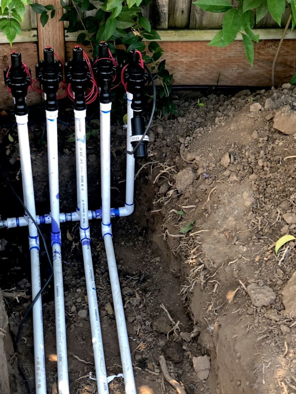 Anti-siphon valves 