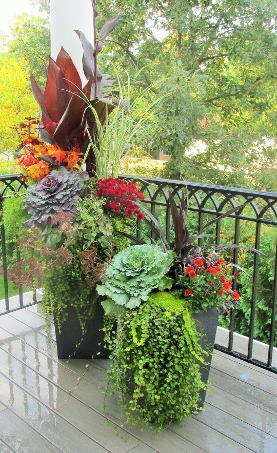 Seasonal Container Garden 