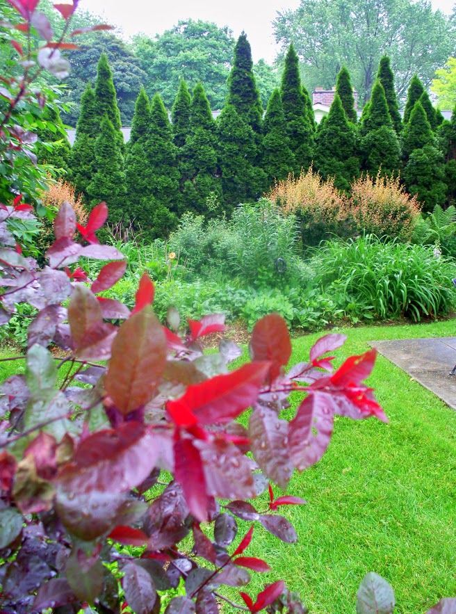 Perennial Garden