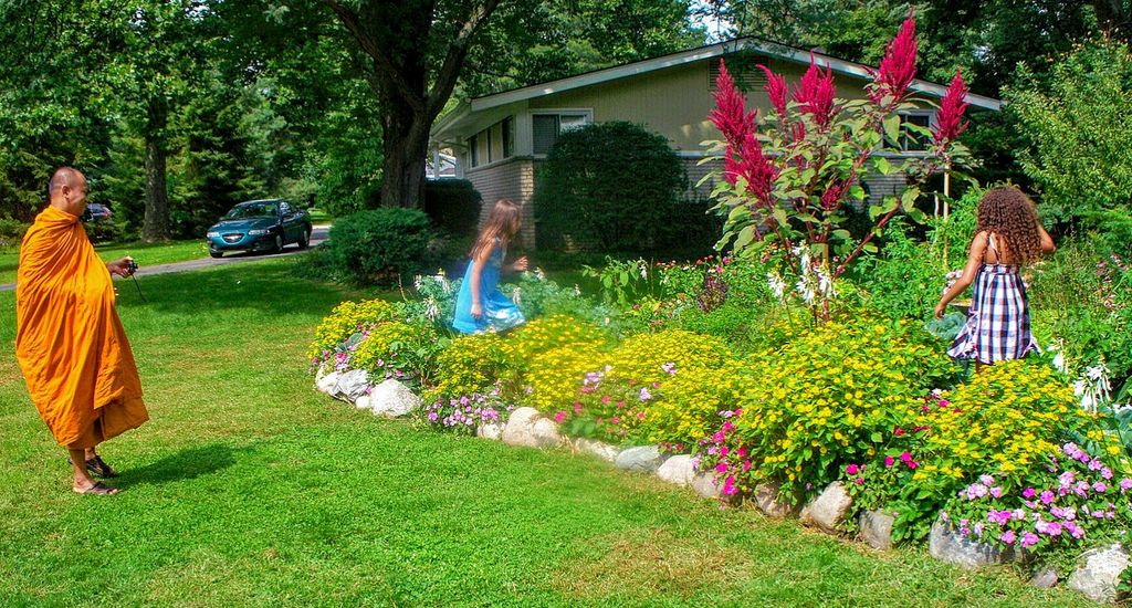 Edible Front Garden