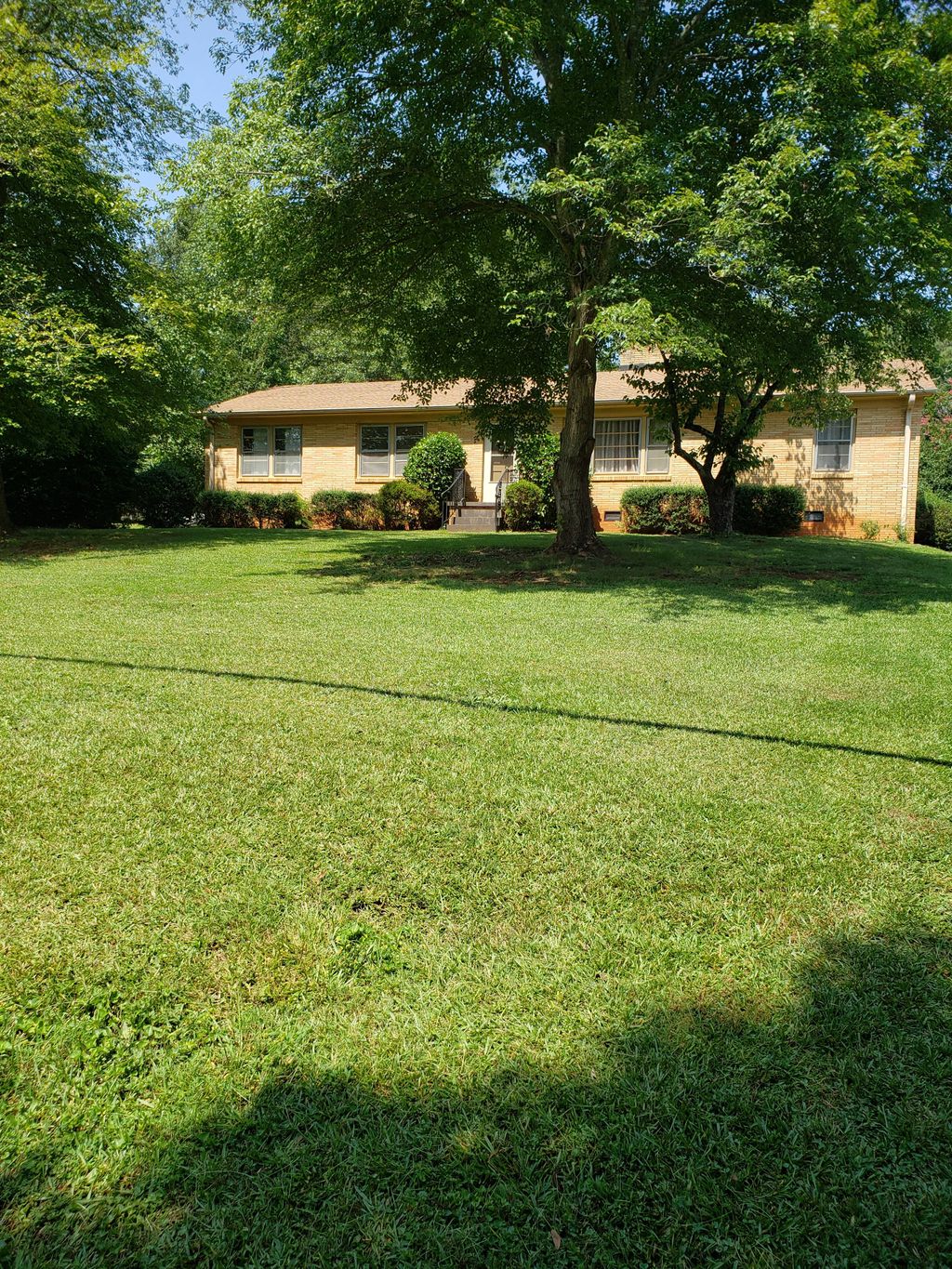 One of our regularly maintenance lawns. 