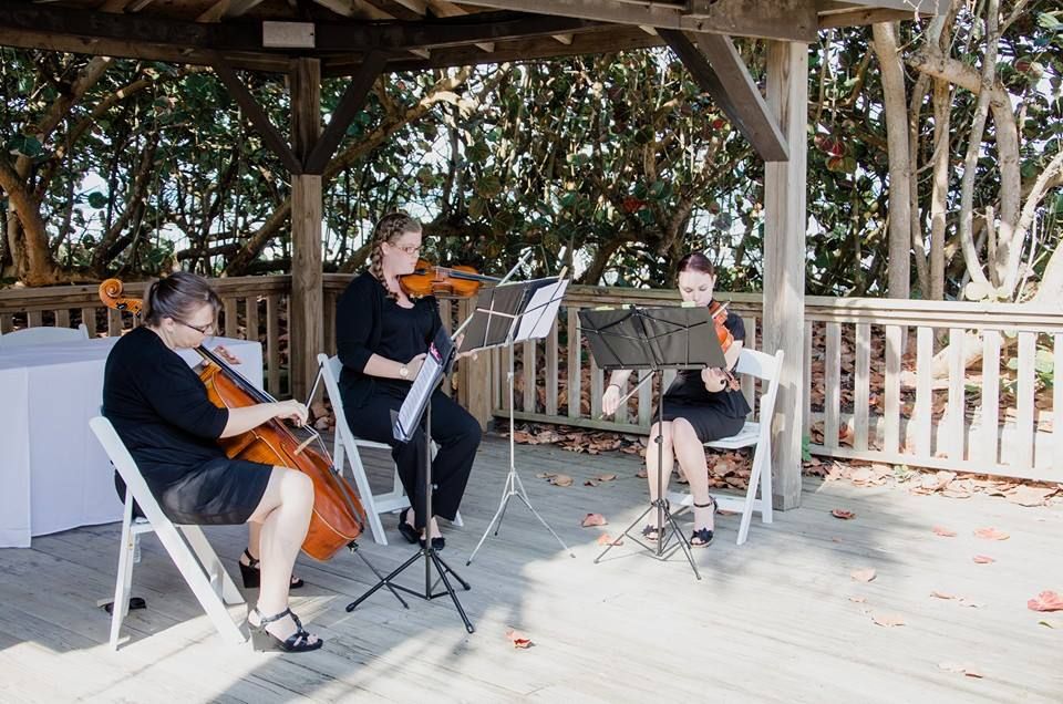Performing at an outdoor wedding
